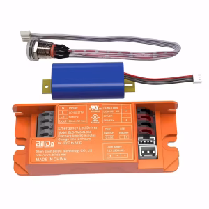 BLD-TM04N-050 4W Cold Weather Emergency LED Driver, -20°C Rated